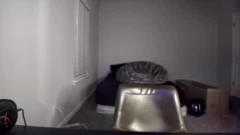 TARZAN online show from 12.10.24