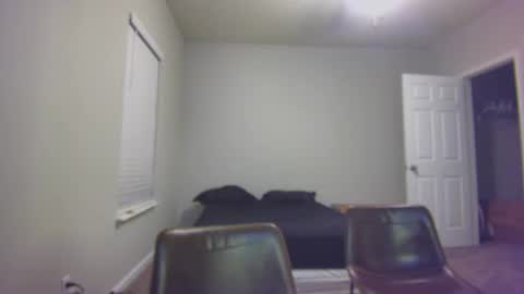 TARZAN online show from 12.24.24