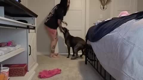 ivey jade online show from 11.05.25