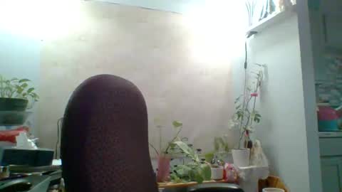 ivyjane3522 online show from 05.07.26