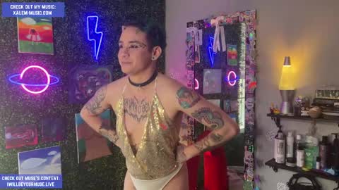 Muse hethey online show from 04.08.26