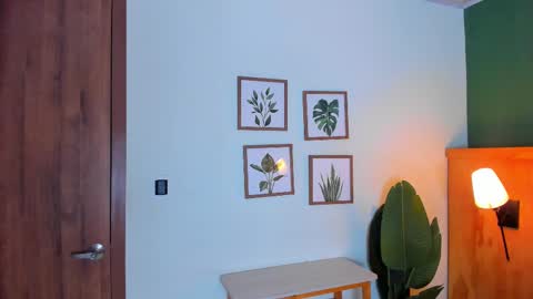 David online show from 09.19.25