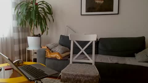 jacek___1 online show from 02.27.26