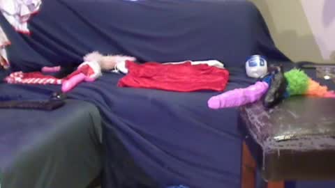 Snapshot of jacekwrrr chatting on 12.29.24 JACKSLUT BUY ME . FAN CLUB MEMBERS AND THOSE WHOM THE MEMBERS INDICATE SISY SLUT PROVIDES THEM FREE SERVICES online show from 12.29.24