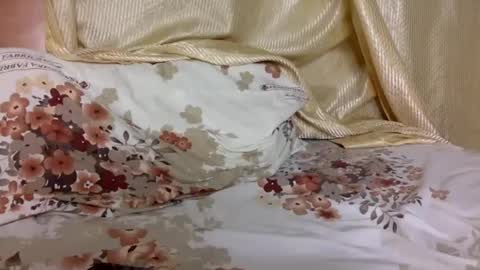 jackie petit online show from 03.03.25