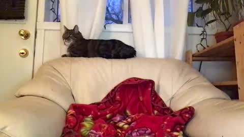 Jacob online show from 02.22.26