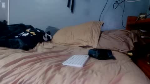 what you in too online show from 04.07.26