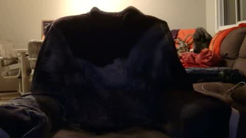 jameswolf777 online show from 11.12.25