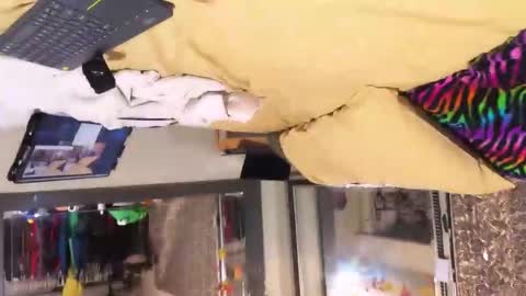 Bootyshows online show from 11.13.25