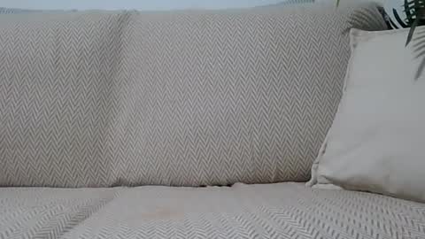 Snapshot of jasmin6501 chatting on 10.11.25 Ella0105 online show from 10.11.25