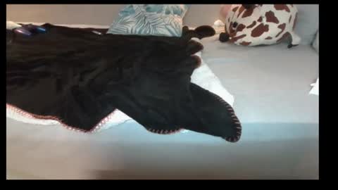 jasminandzhao online show from 07.07.26