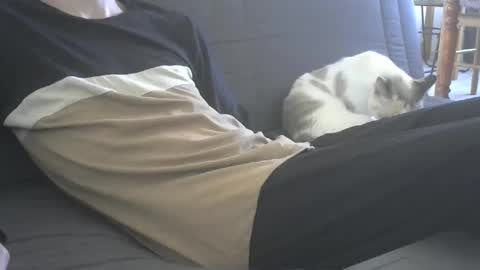 jasper 0 e23cm online show from 09.21.25