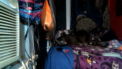 Snapshot of jax_skyfallin chatting on 02.25.25 jaxxx666 online show from 02.25.25