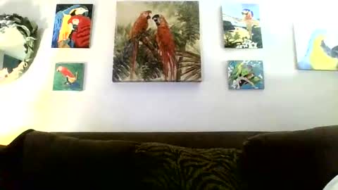 jay-jay1475 online show from 01.16.25