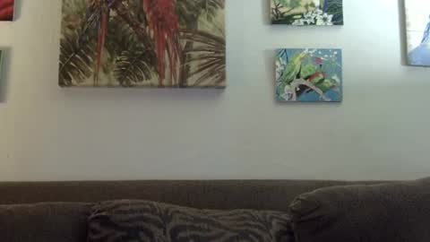 jay-jay1475 online show from 01.21.25