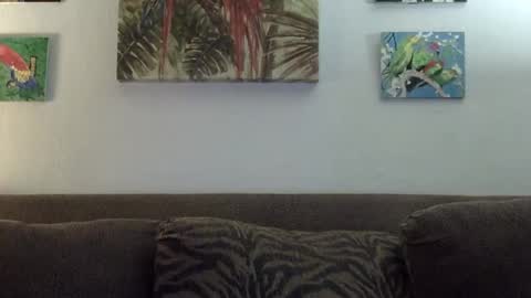 jay-jay1475 online show from 01.22.25