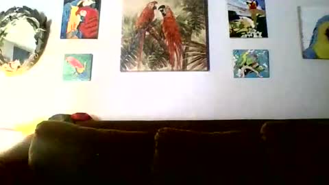 jay-jay1475 online show from 02.18.26