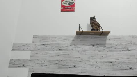 Jaycreedd online show from 02.22.25