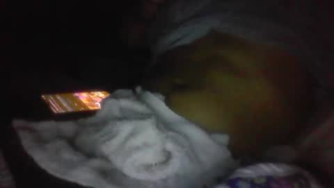 jaywulf22 online show from 01.19.26