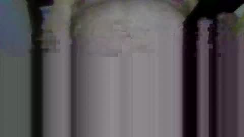 jb78510170 online show from 03.22.26