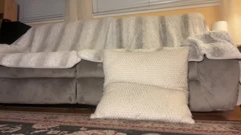 Snapshot of jbfilms2020 chatting on 10.26.25 JB online show from 10.26.25