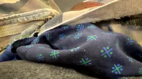 Snapshot of jbigblue chatting on 09.28.25 jbigblue online show from 09.28.25