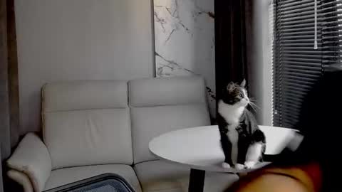 jessi_lady_ online show from 07.29.26