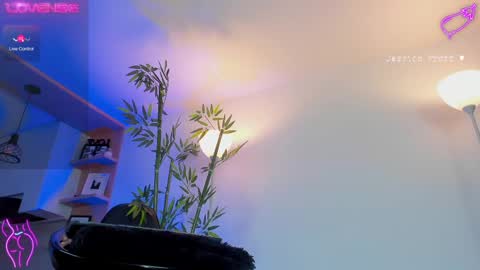  Jessica Pratt  IG jessicaxpratt online show from 02.25.25