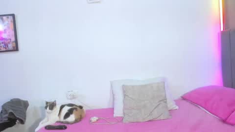 Snapshot of jhacky_sweet chatting on 04.19.26 jhackelin My independent account online show from 04.19.26