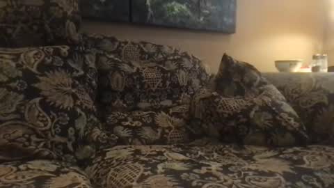 jlk7777 online show from 12.04.24