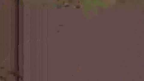 jlk7777 online show from 11.19.25