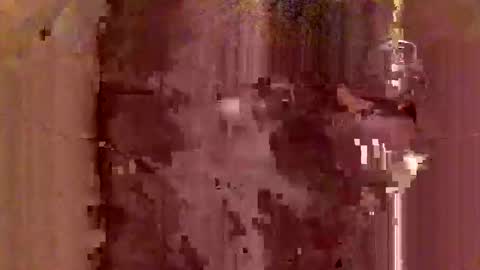 jodlsepp online show from 12.12.24