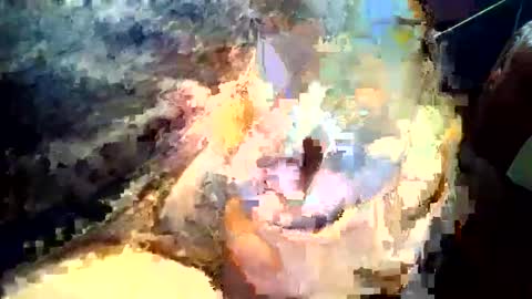 Snapshot of joedunbar61 chatting on 09.17.25 joedunbar61 online show from 09.17.25