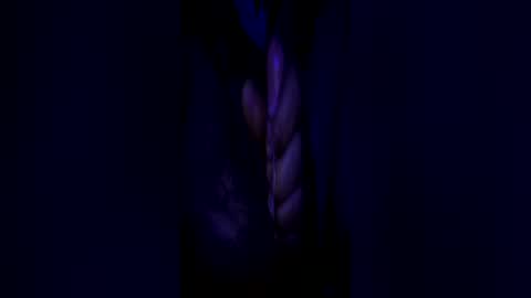 johnbruce23 online show from 06.25.26