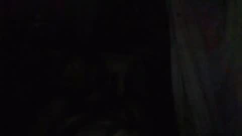 Snapshot of johndearbornewashere chatting on 06.28.26 johnny online show from 06.28.26