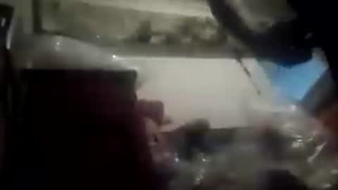 Snapshot of johnnybravo4919 chatting on 06.22.26 johnnyBravvo online show from 06.22.26