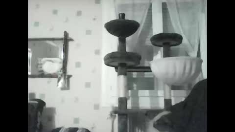 jojo60000529566 online show from 01.08.25