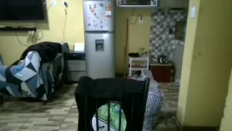 jordan281995 online show from 10.26.25