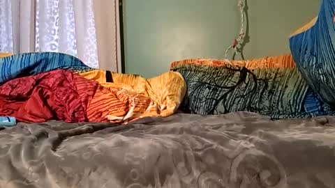 jorjina_x_mckie online show from 01.09.25