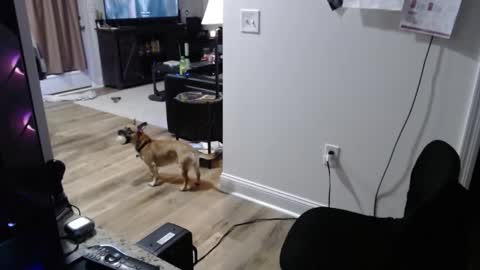 Snapshot of josefturner1 chatting on 01.15.26 Josef online show from 01.15.26