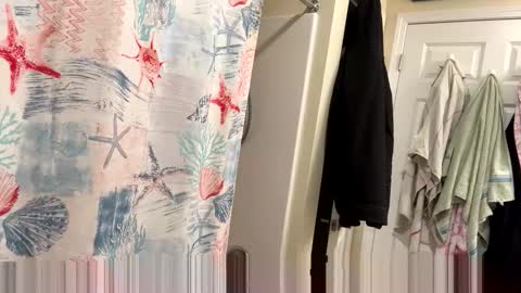 sissy josphine online show from 02.03.26