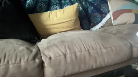 Snapshot of joshperrygoon chatting on 12.21.24 joshperrygoon online show from 12.21.24