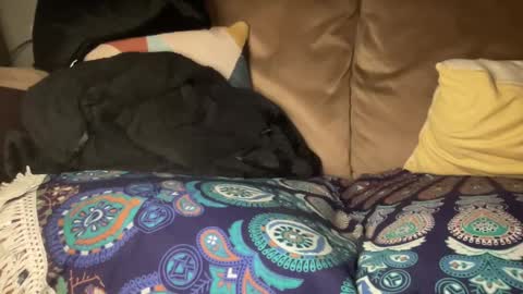 Snapshot of joshperrygoon chatting on 12.27.24 joshperrygoon online show from 12.27.24