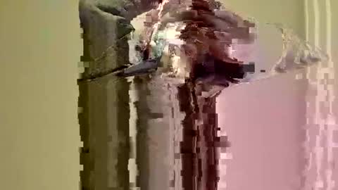 joshuatreestroker online show from 11.21.25