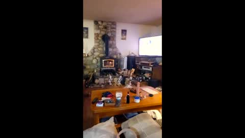 jsteger1465 online show from 02.24.26