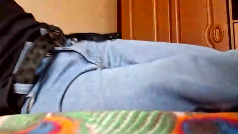 Snapshot of juan488826 chatting on 03.23.26 juan488826 online show from 03.23.26