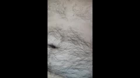 juegopromax707909 online show from 04.27.26