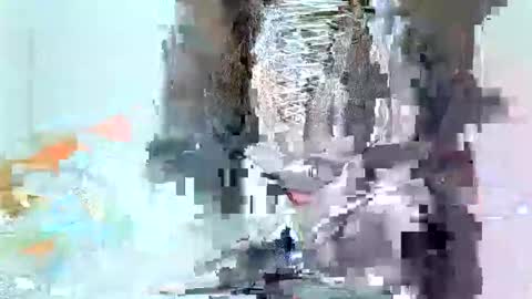 juicyebonitaa online show from 11.04.25