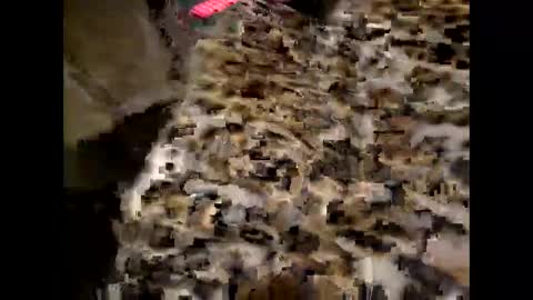 Snapshot of juicyslutx chatting on 11.30.25 juicyslutx online show from 11.30.25