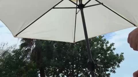 Snapshot of julie_joyride chatting on 09.19.25 Julie and TheAverageGuy aka Max online show from 09.19.25